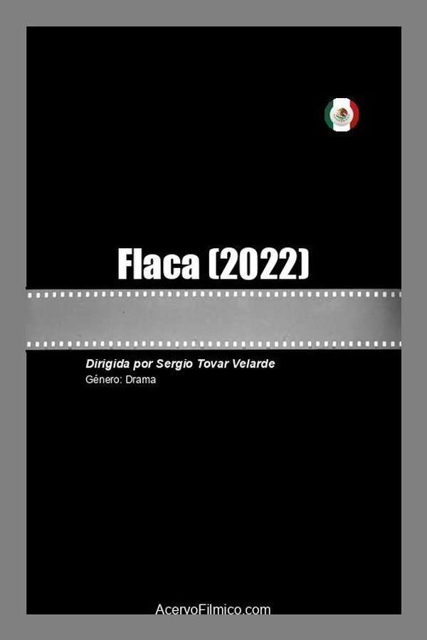 Flaca poster