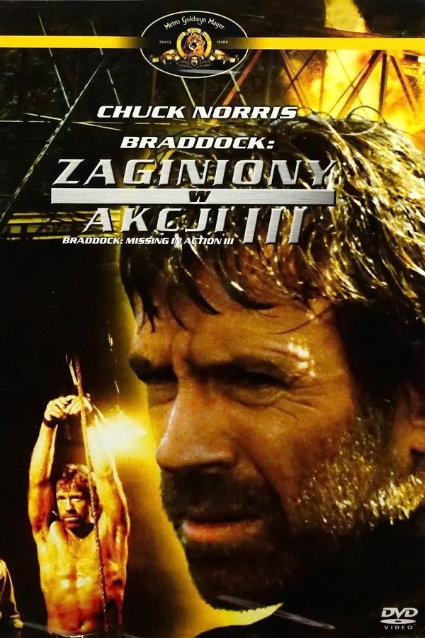 PL - ZAGINIONY W AKCJI 3 (1988)