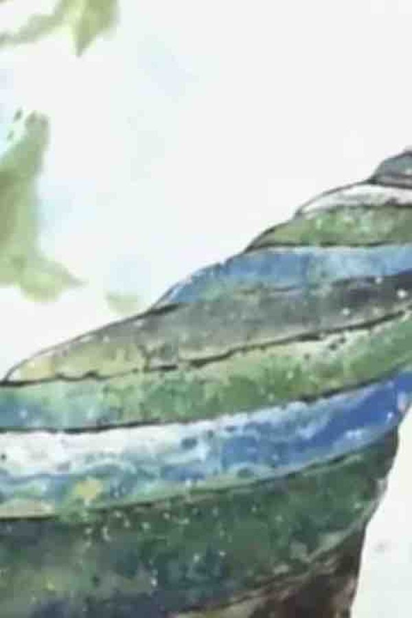 Digimon – S01E40 – Episodio 40