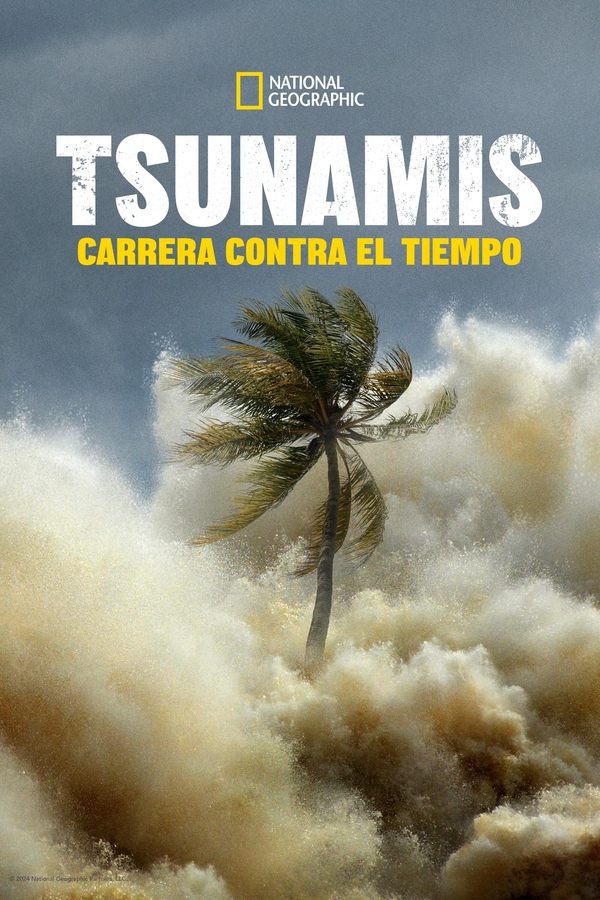 ES - Tsunami: Carrera contra el tiempo (2024)