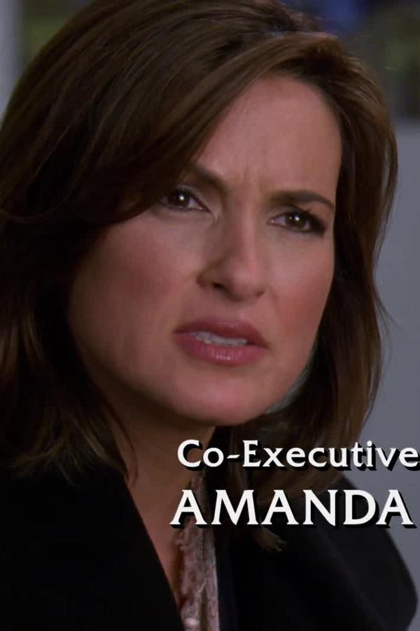 Law & Order: Unità vittime speciali – S10E11 – Estranea