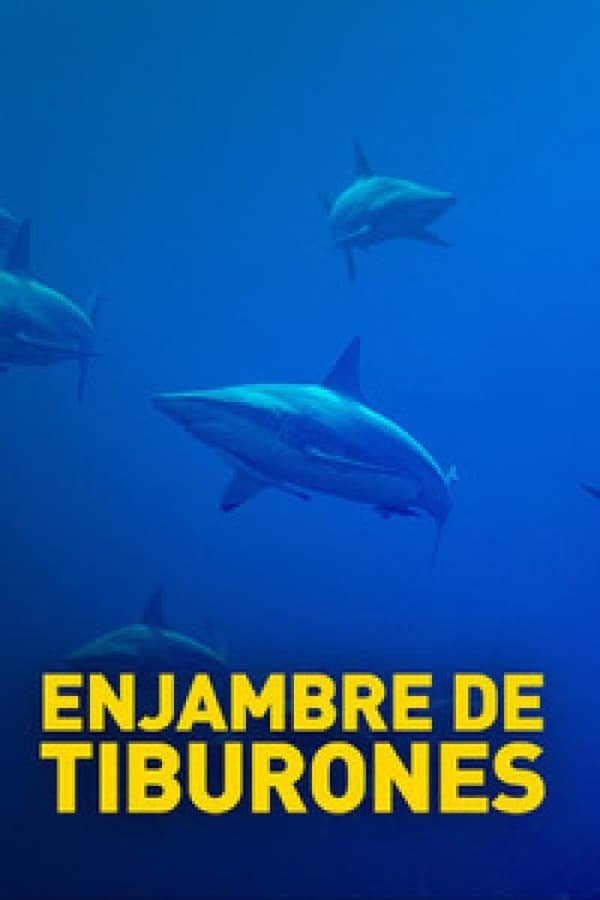 Enjambre De Tiburones