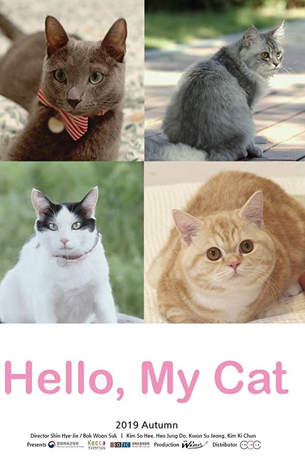 Hello, My Cat