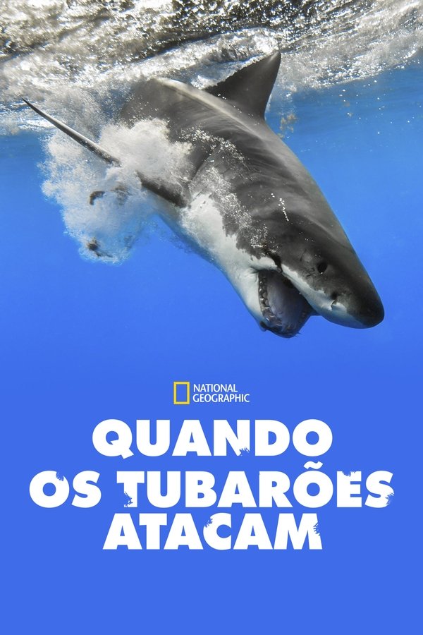 Temporada 7