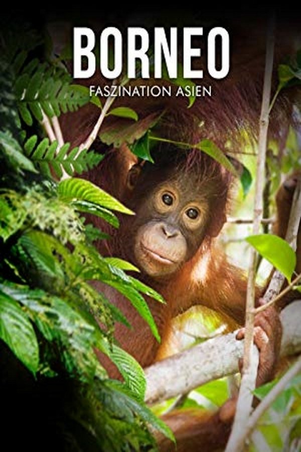 DE - Borneo: Faszination Asien (2017)