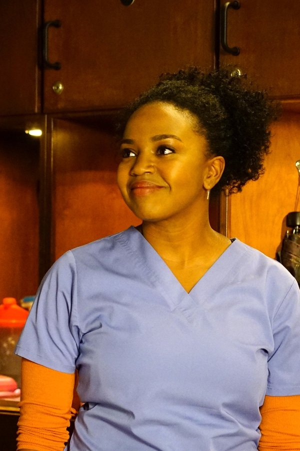 Grey’s Anatomy – S13E22 – Lascialo lì