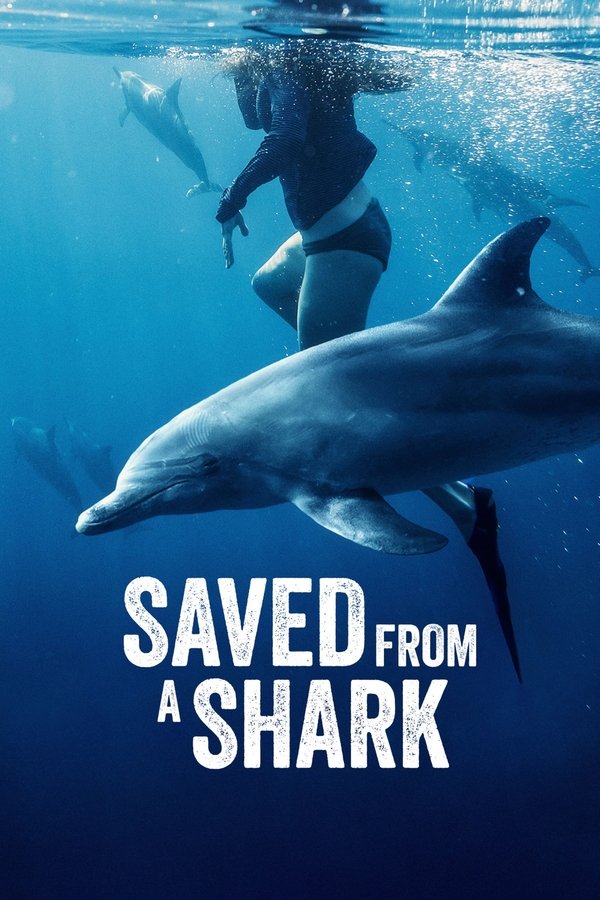 Saved From a Shark