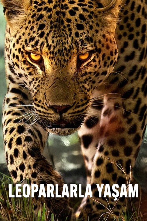 TR - Leoparlarla Yaşam - 2024