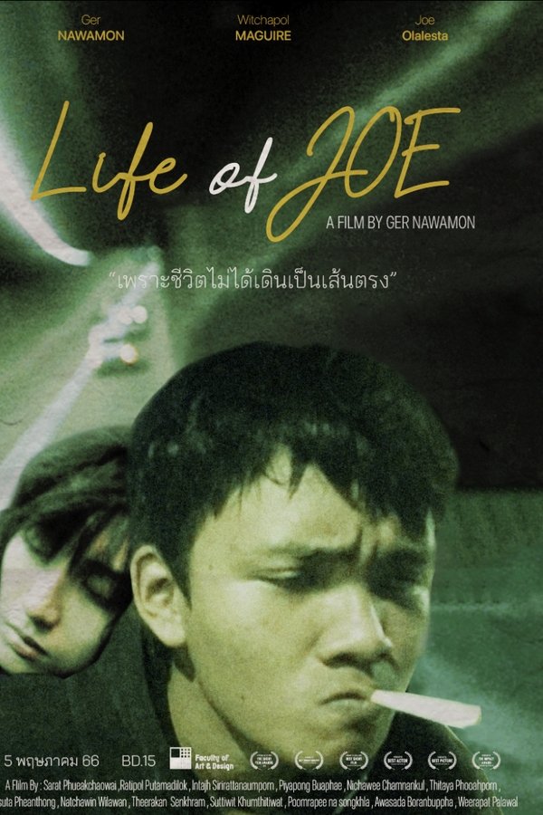 Life of Joe poster