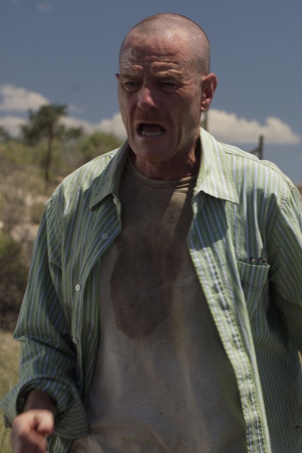 Breaking Bad – Reazioni collaterali – S02E03 – Punto da un’ape morta