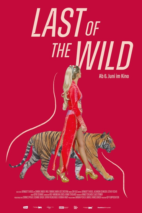 LAST of the WILD Poster
