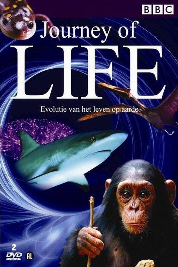 Journey of Life poster