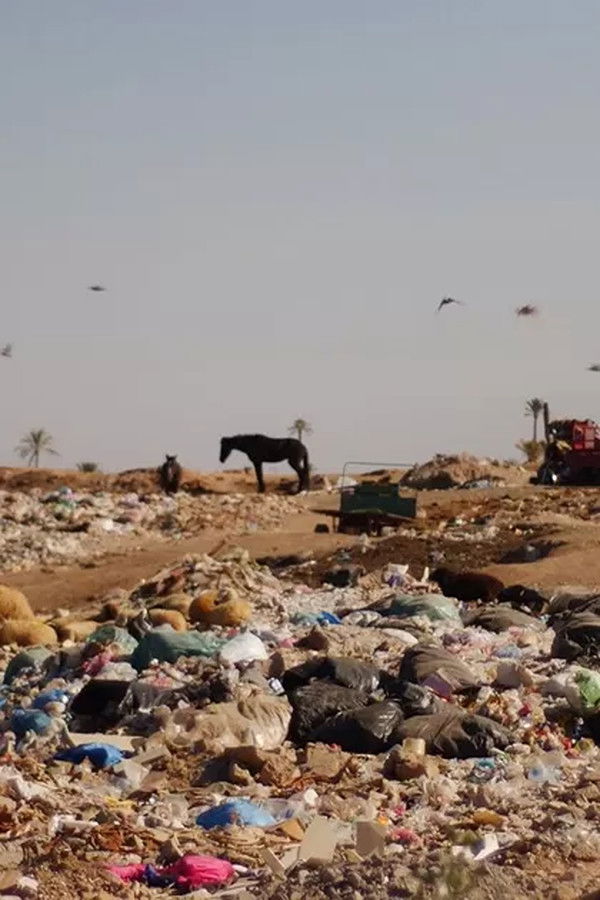 The Danger That Saves