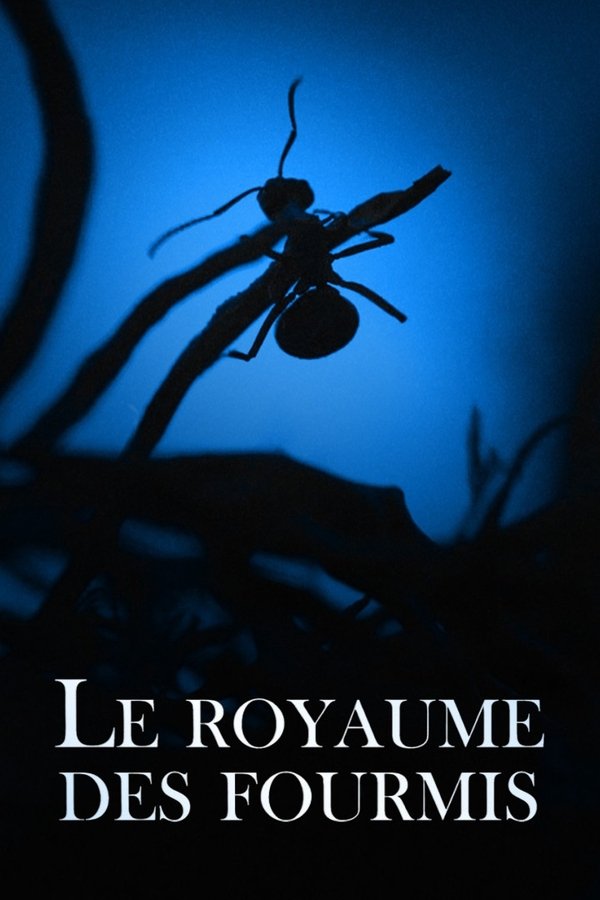 Le Royaume des fourmis poster