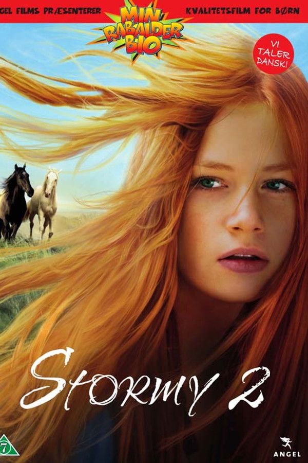 DK - Stormy 2 (2015)