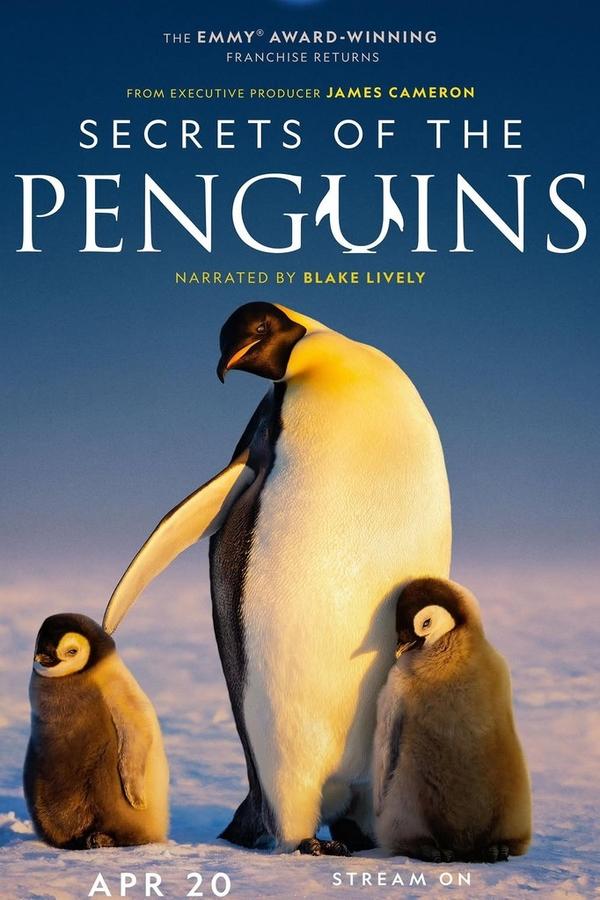 Secrets of the Penguins