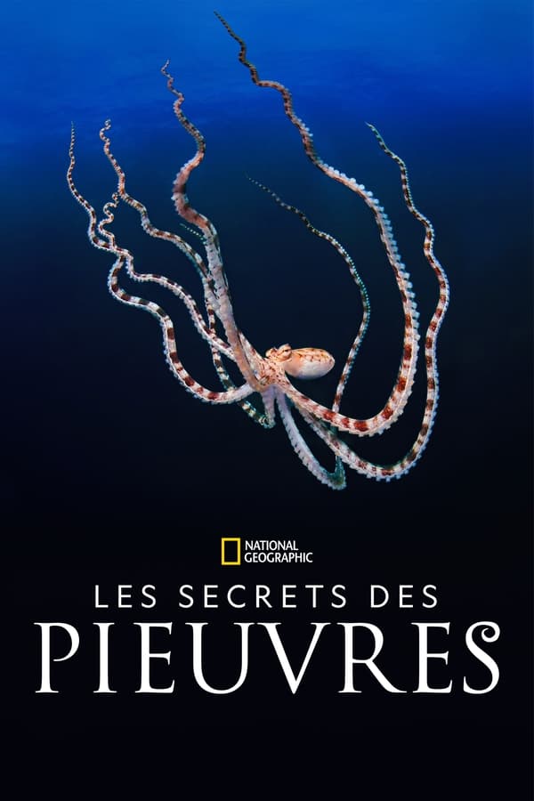 TVplus FR - Les secrets des pieuvres