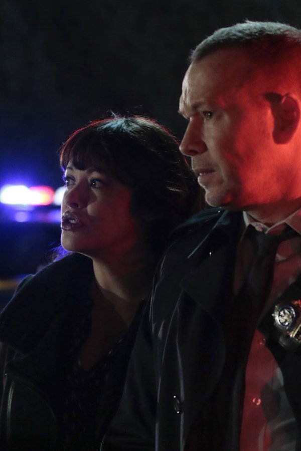 Blue Bloods – S06E18 – Una lezione di vita