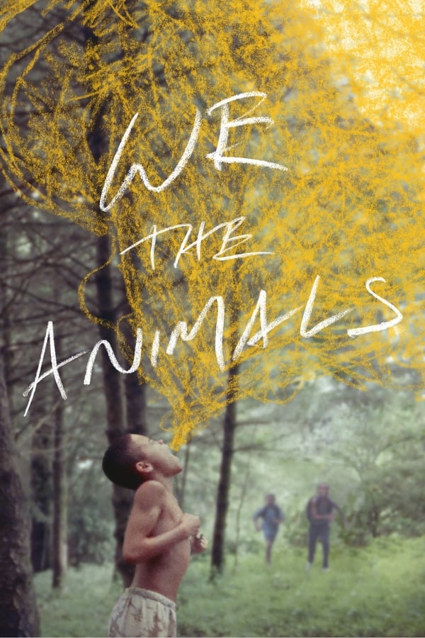 BG - We the Animals