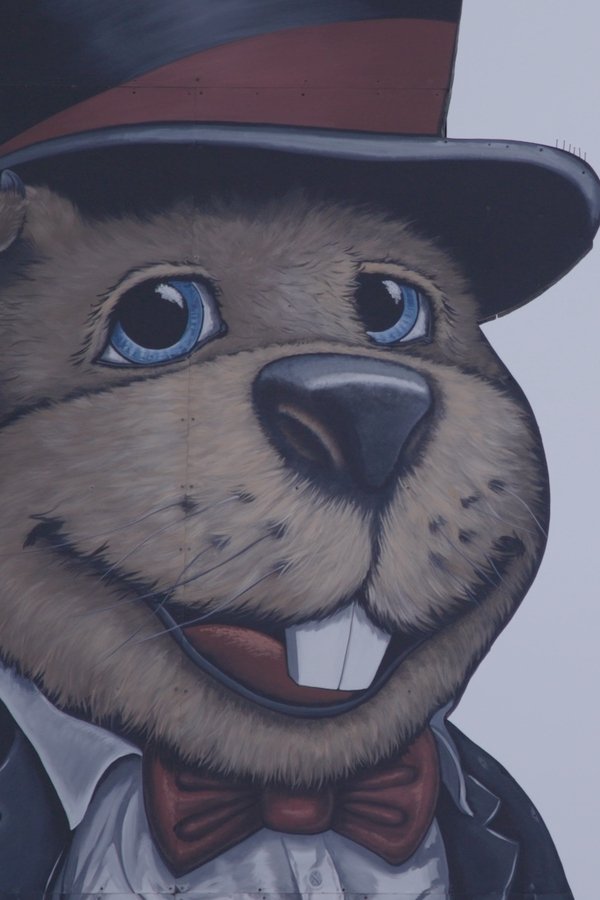 Groundhog Town