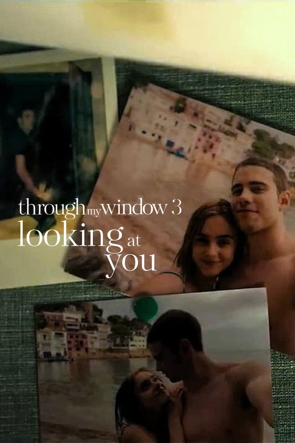 Through My Window 3: Looking at You (2024) (Hindi)