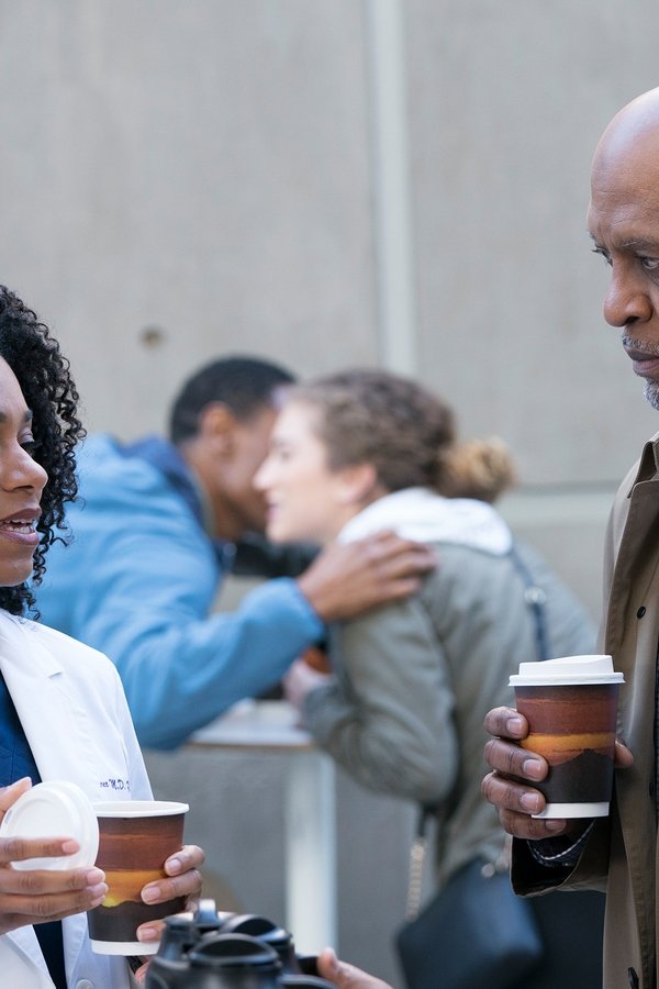 Grey’s Anatomy – S14E15 – Vecchie cicatrici, cuori nuovi