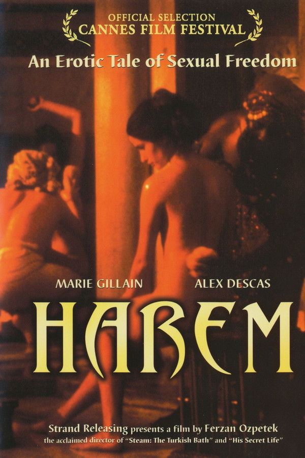 TR - Last Harem - 1999