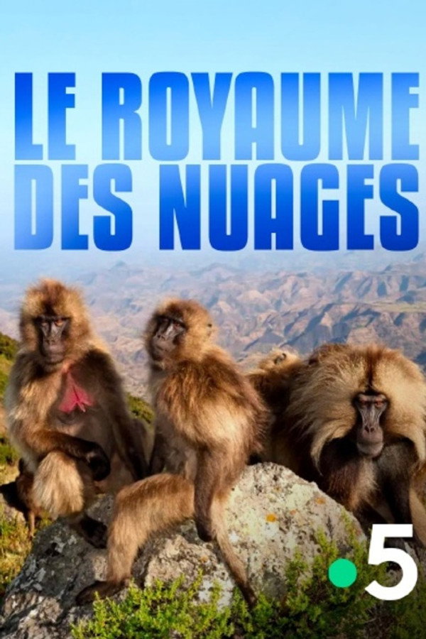 Le royaume des nuages