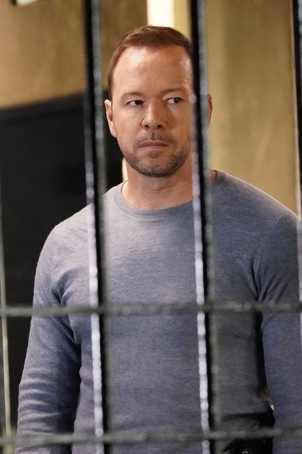 Blue Bloods – S09E19 – Guardare oltre