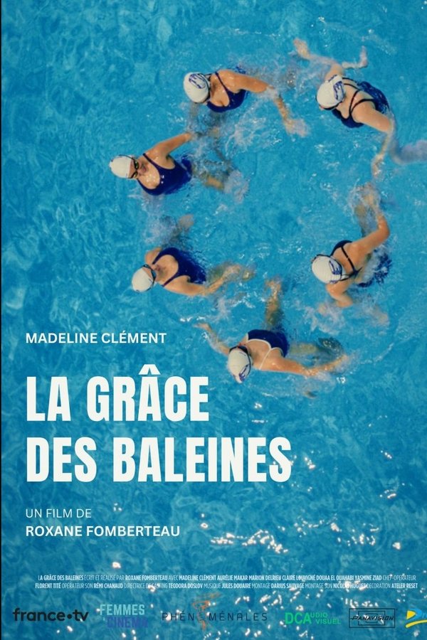 La Grâce des baleines poster
