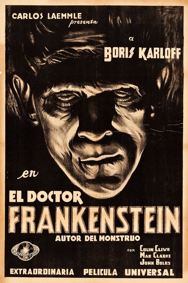 El doctor Henry Von Frankenstein acomete un experimento tenebroso: construir, a partir de fragmentos de cadáveres, un nuevo ser humano. Con la ayuda de su criado Fritz, se adentra durante la noche en los cementerios de la localidad para arrancar a los cadáveres las partes que necesita. Lo que ignora es que el cerebro que ha utilizado en su experimento había pertenecido a un criminal.