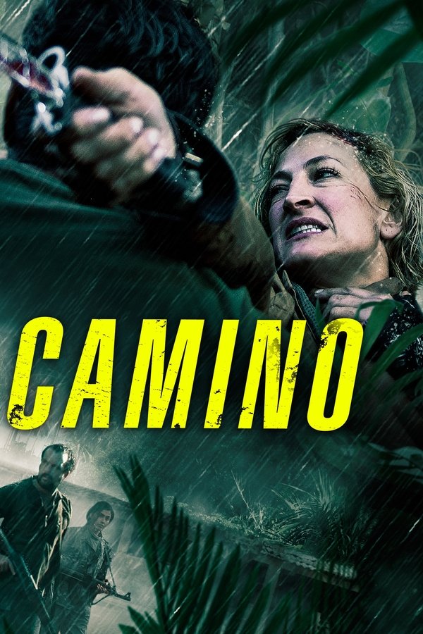 Camino