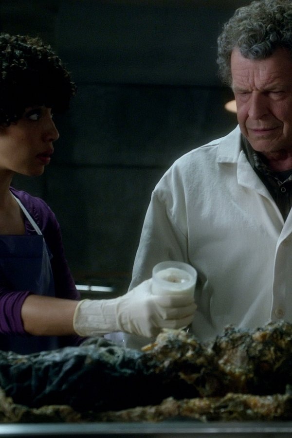 Fringe – S04E03 – Solo al mondo