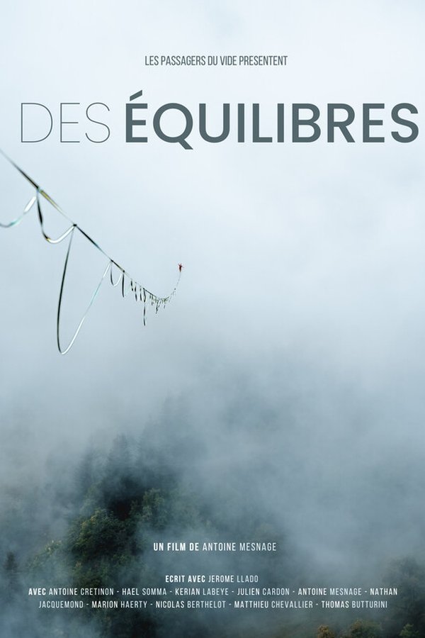Des Équilibres poster