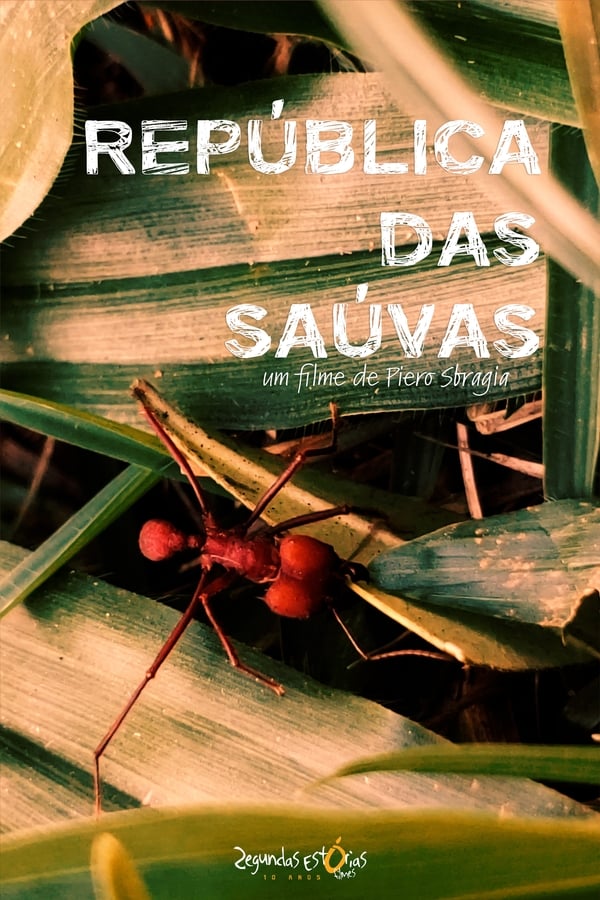 República das Saúvas