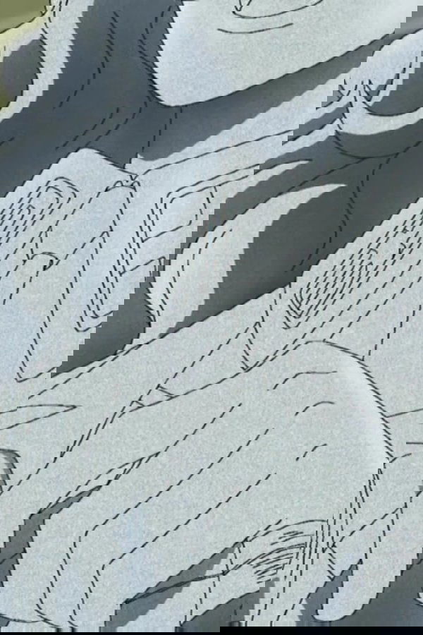 One Piece: All’arrembaggio! – S13E435 – La forza velenosa