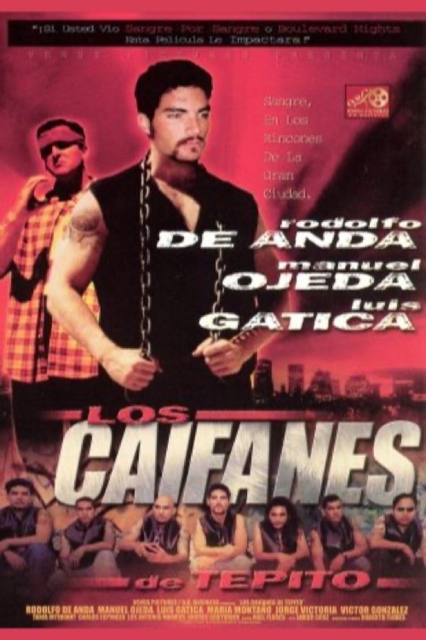 Los caifanes de Tepito poster