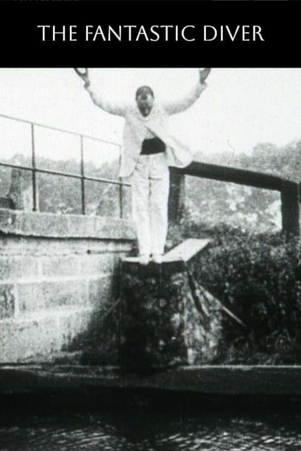 The Fantastic Diver poster