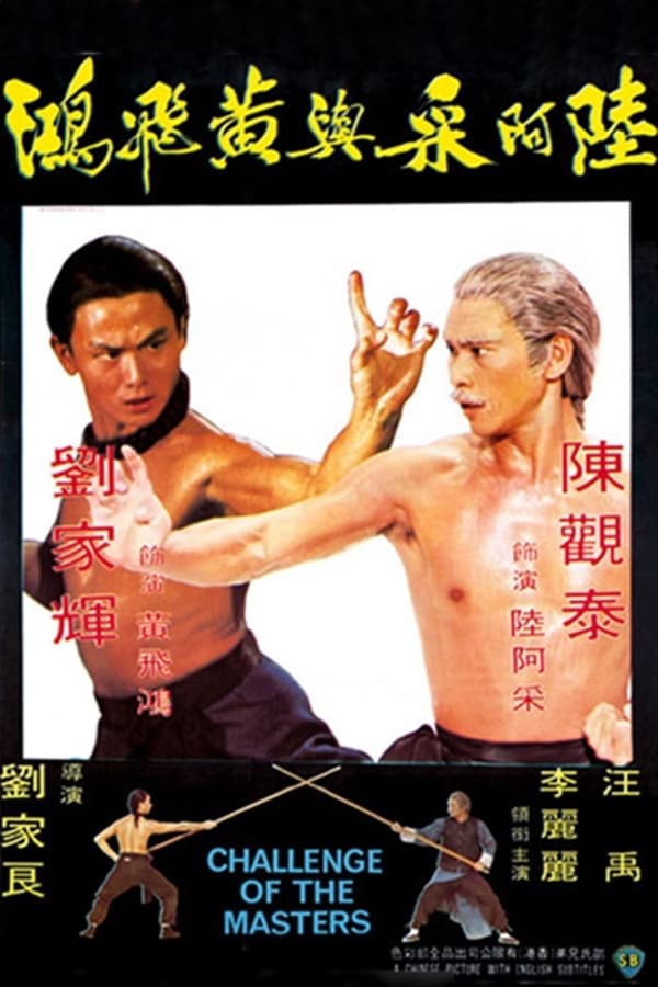 The Wong family kung fu school gets smacked around by a rival school. Wong Fei-hong gets fed up with the abuse and goes to learn from his fathers master. After one of the rival schools members kills some of the towns people Wong Fei-hong becomes enraged trains even more comes back and gets his revenge.