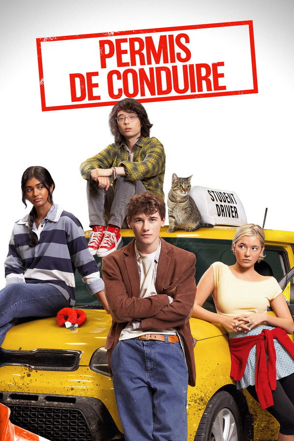 TVplus FR - Permis de Conduire (2026)