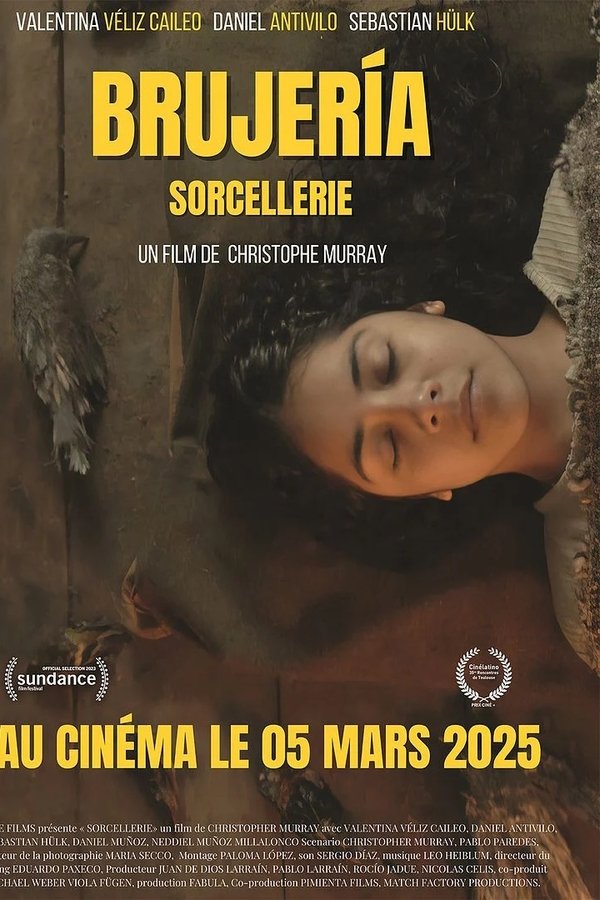 FR - Brujeria - Sorcellerie - 2024 [VOSTFR] cover image