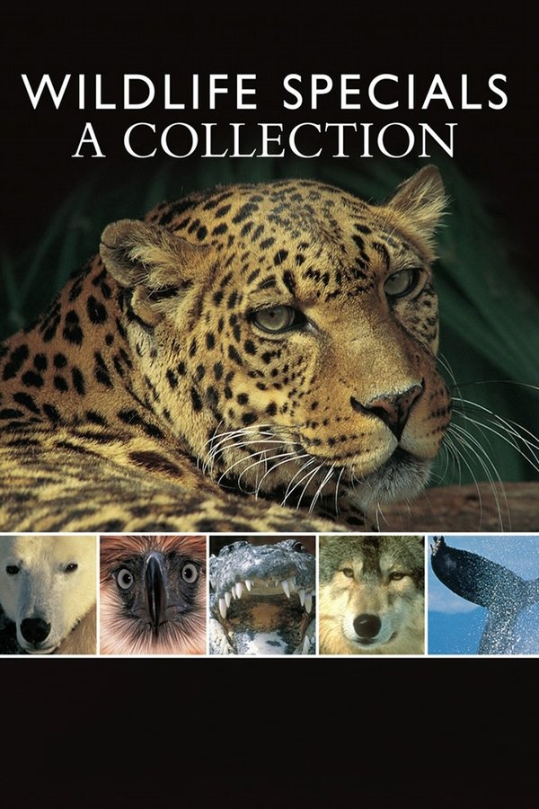 Wildlife Specials poster