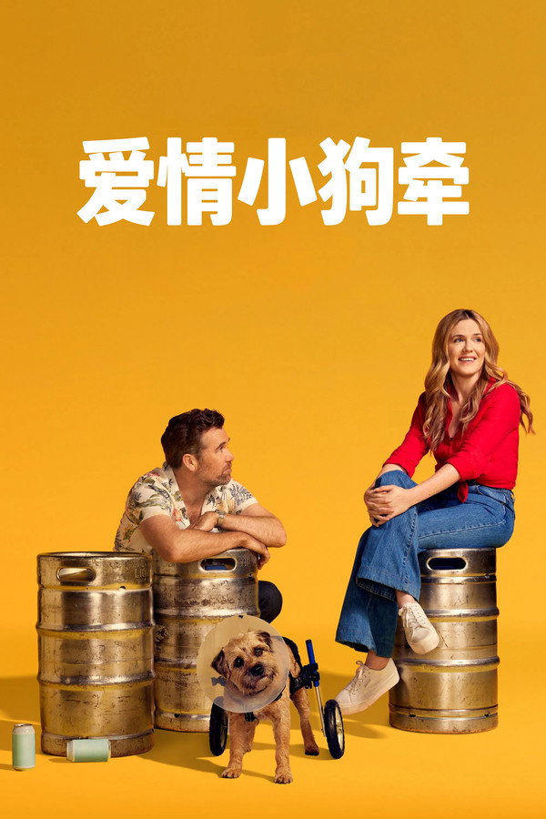 客户部的科林第1季