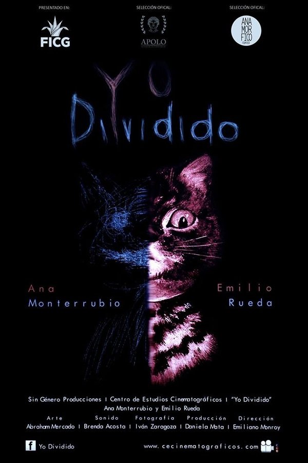 Yo Dividido poster