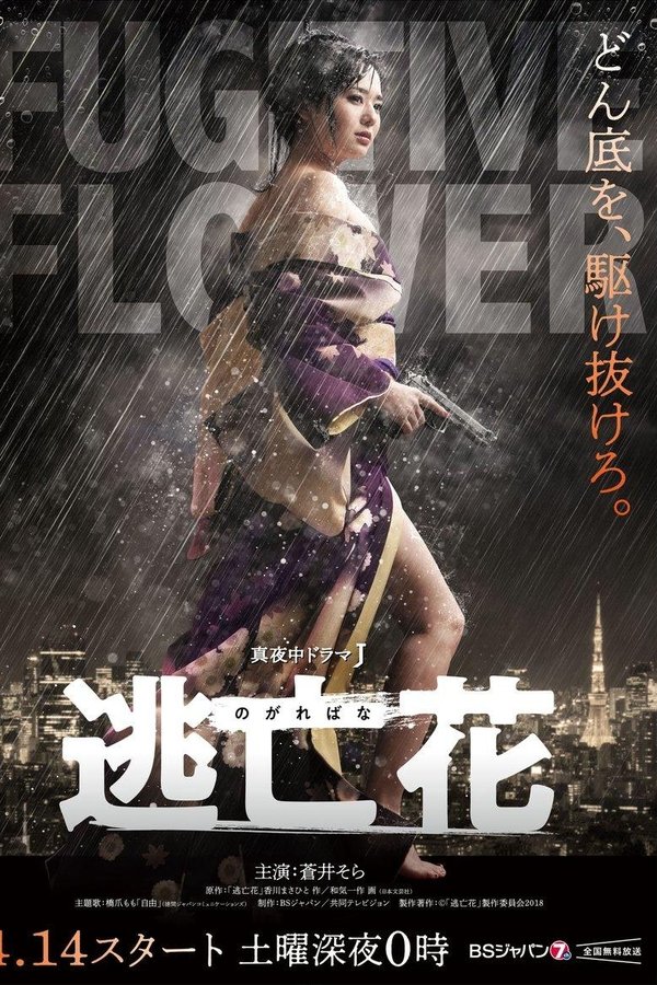 逃亡花 逃亡花