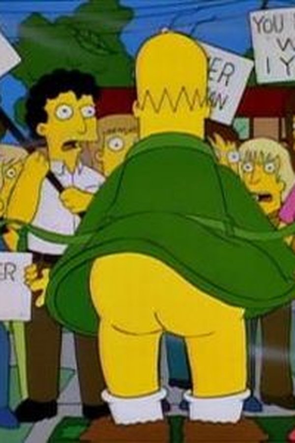 I Simpson – S06E09 – Homer l’acchiappone