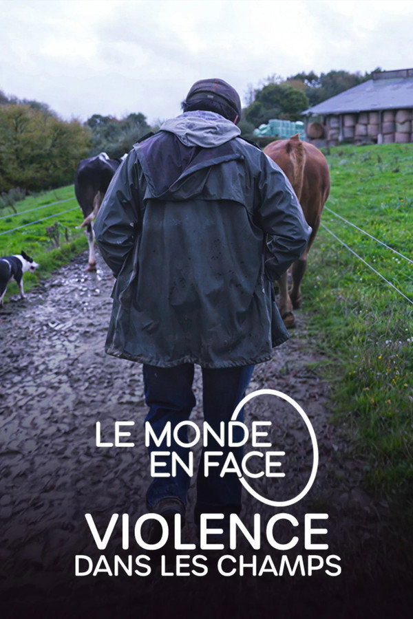 Violence dans les Champs