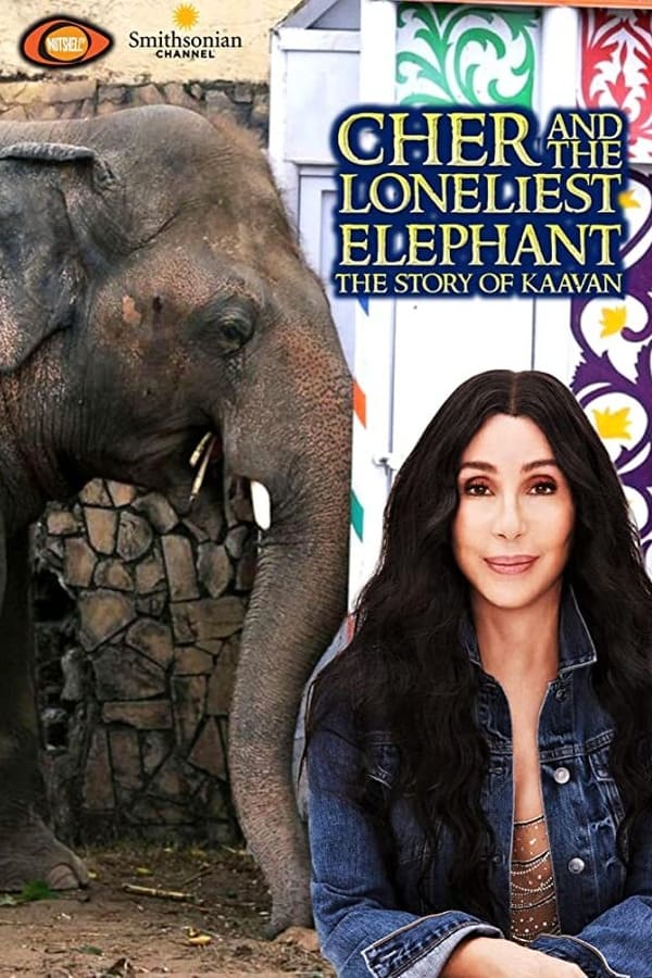 Cher & the Loneliest Elephant