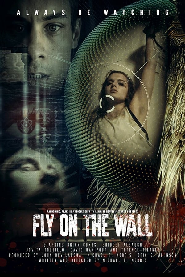 AR| Fly On The Wall 