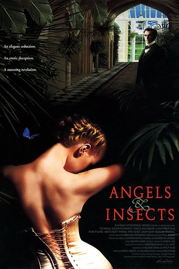 Engel und Insekten